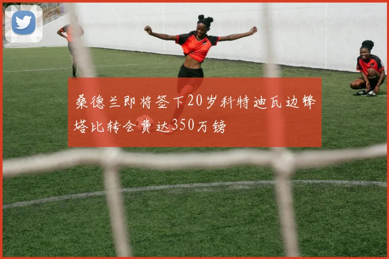 桑德兰即将签下20岁科特迪瓦边锋塔比转会费达350万镑