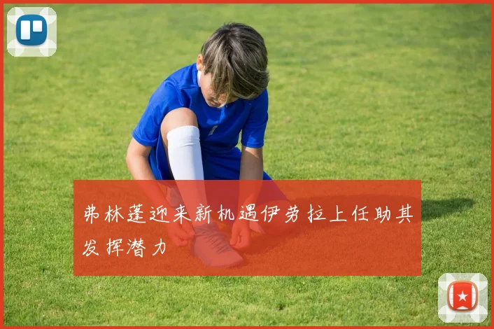 弗林蓬迎来新机遇伊劳拉上任助其发挥潜力