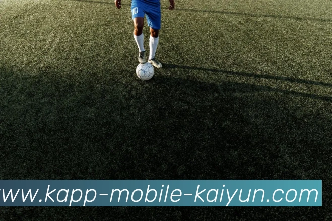 开云体育APP 封面图